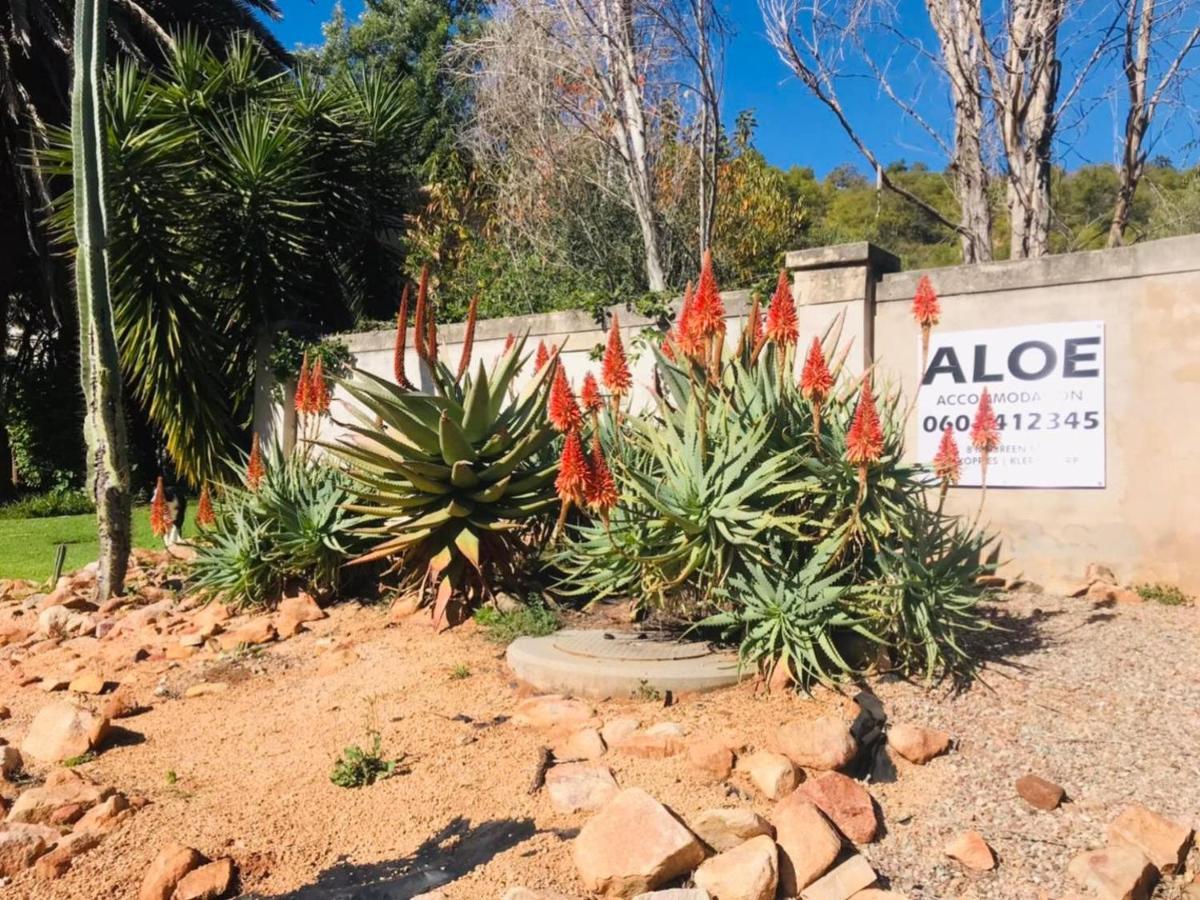 Aloe Guesthouse Klerksdorp Bagian luar foto