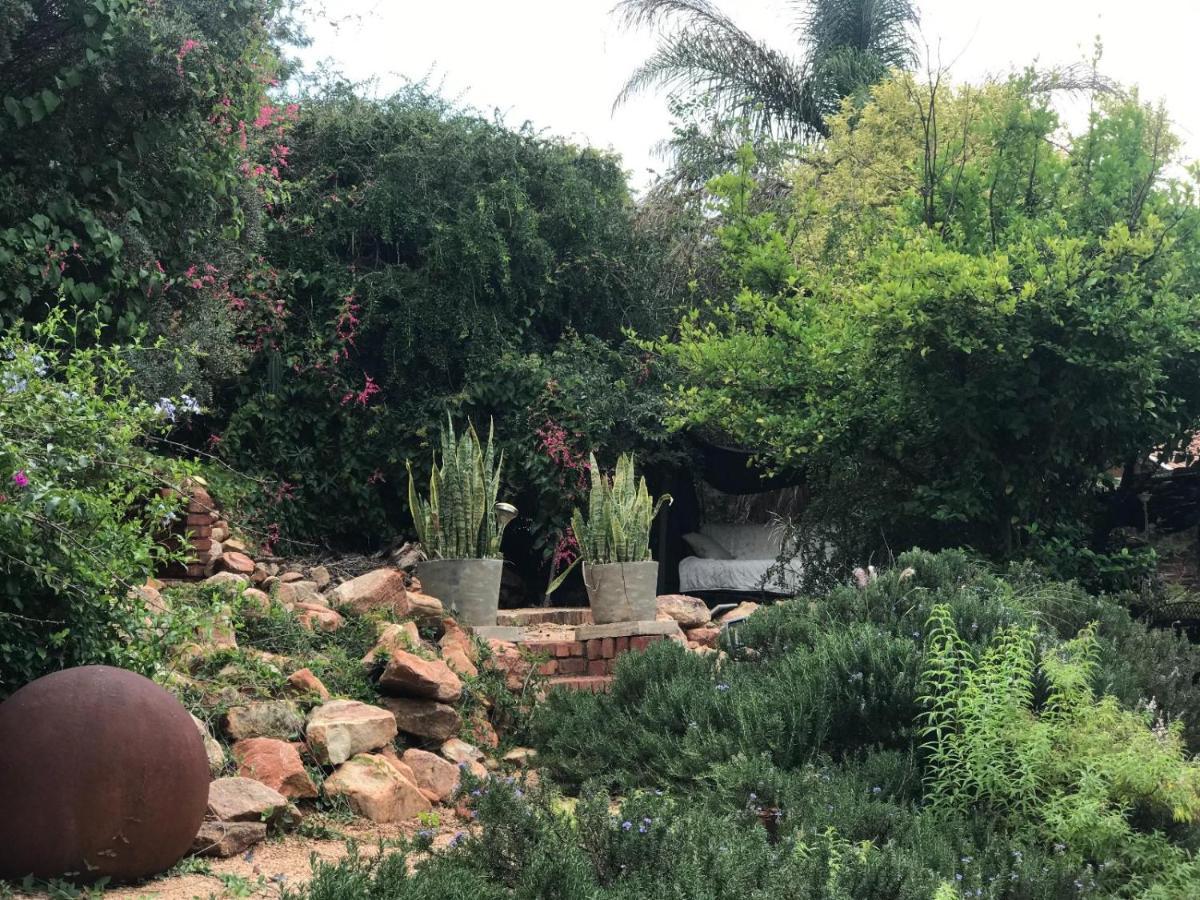 Aloe Guesthouse Klerksdorp Bagian luar foto