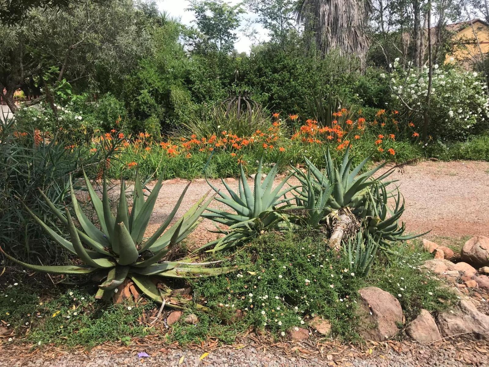 Aloe Guesthouse Klerksdorp Bagian luar foto
