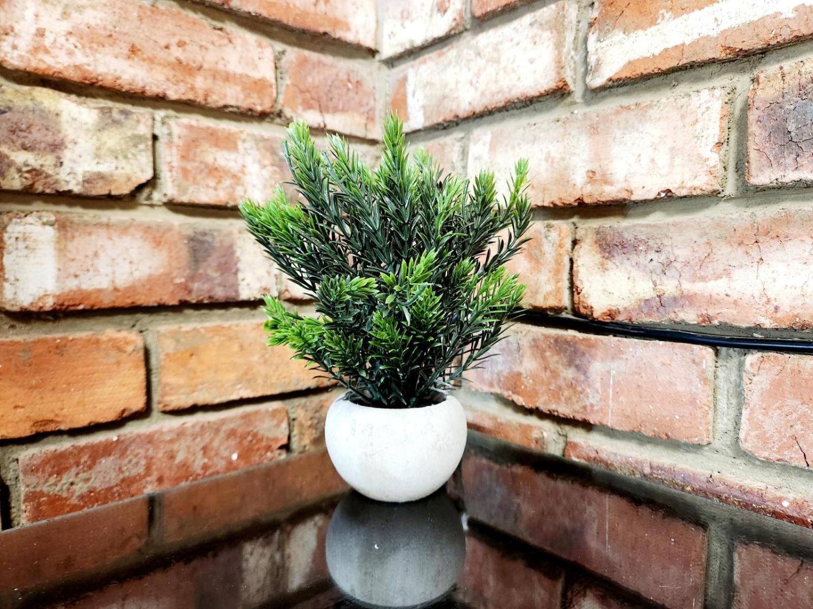 Aloe Guesthouse Klerksdorp Ruang foto