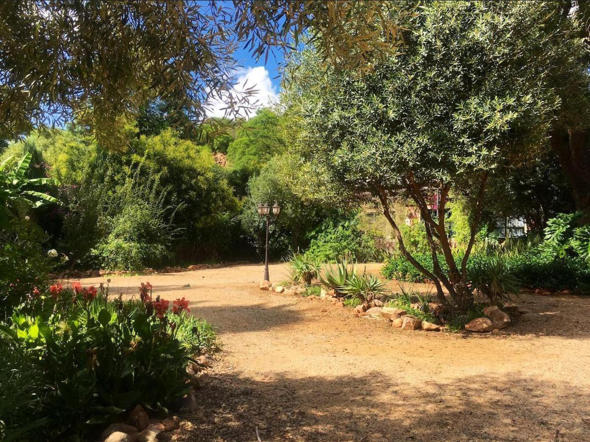 Aloe Guesthouse Klerksdorp Bagian luar foto